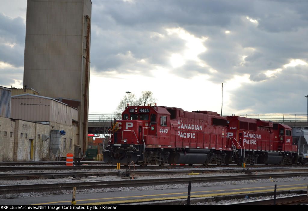 CP 4443